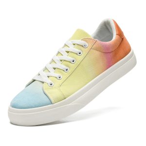 Rainbow Low-top Canvas Shoes